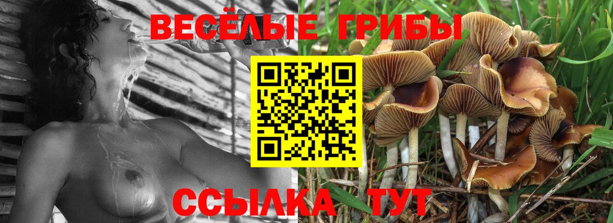 Псилоцибиновые грибы ЛСД Ухта